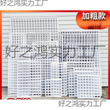 �WƬ�W���F�z�W���В�W؛�ܰ�ɫ�F�Wչʾ�ܾW��Ƭ�젝�����