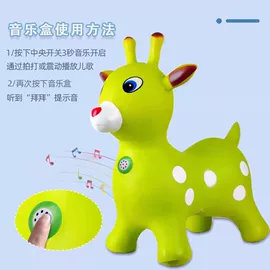 球类;跳跳马跳跳球;壶铃