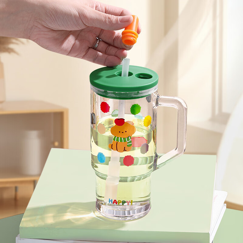 Student Portable Single-Pack Large-Capacity Water Cup 2025 New High-Looking Fresh Glass Straw Water Cup with Handle