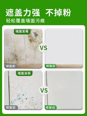Coating Repair Paste White Wall, Sheet Metal Spray Repair