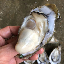 ���h��؛���Tտ��������򺎧���r��F��ĵϠˮ�a��Ϡ�����l���