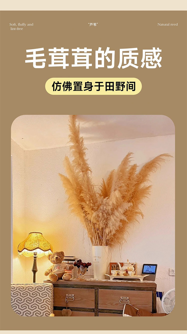 ae9aae19-6e21-457d-b458-8565d6ef6d9d.jpe