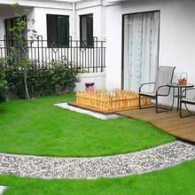 多年生黑麦草种子四季常青护坡固土耐寒矮生绿化庭院草坪草皮种籽