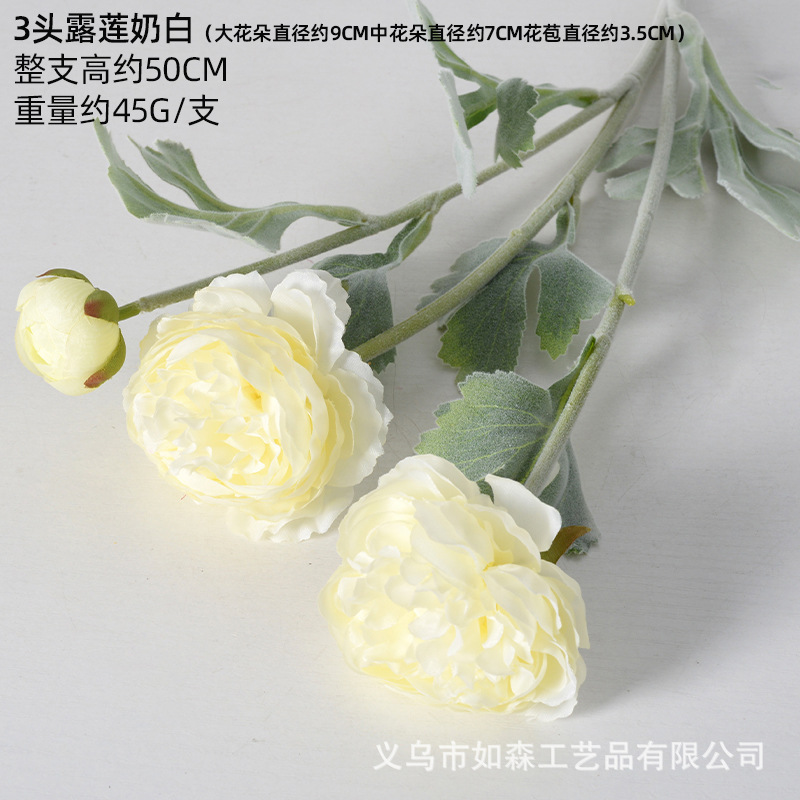 3 cabezas de blanco lechoso Lulian