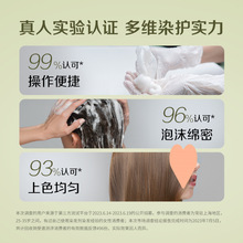 一般雾泡棕色件染染品霾贸易泡沫染发剂在家自己装植物泡泡