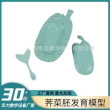�j���߰l��ģ�ͷN��ֲ��ѿ�Y�������n�����ЌWģ�������n����ʹ��