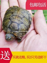 �����������������w�������L���^�p���GɫС����ˮ������t�S��