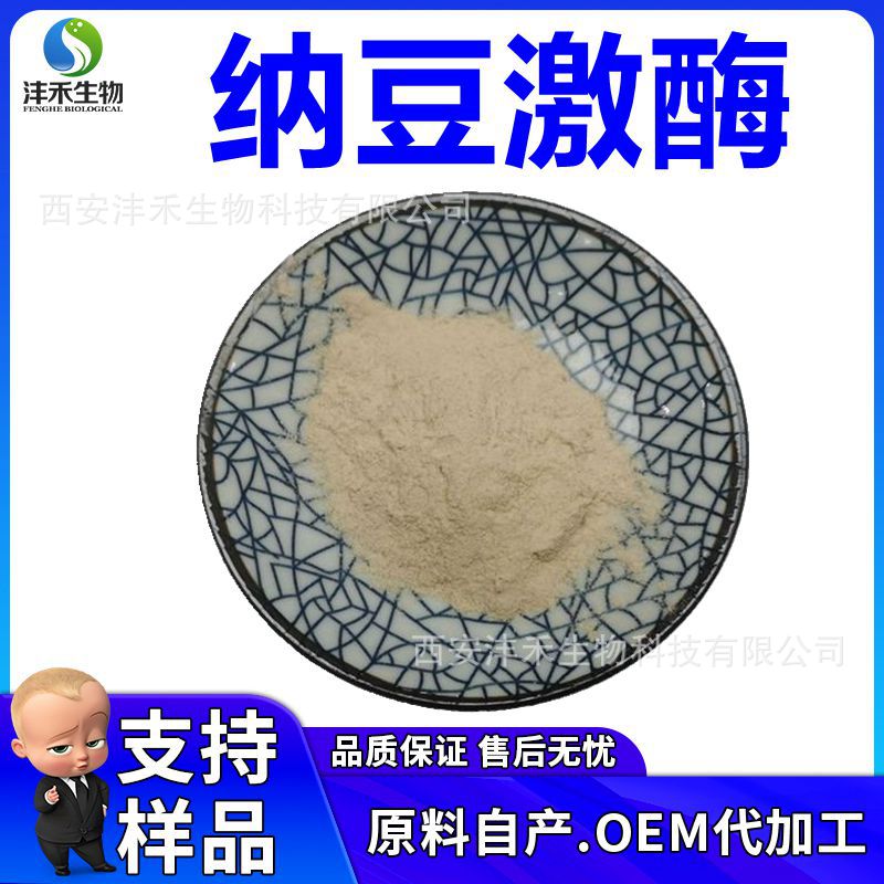 纳豆激酶20000fu/g 纳豆提取物发酵 沣禾生物 纳豆粉 纳豆冻干粉