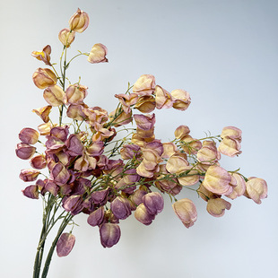 �����������\���ٻ��������ҾӔ[�O�r������������ˇ�[��