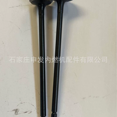 In stock: Carter C6.4 intake valve 294-1684, exhaust valve 294-1685