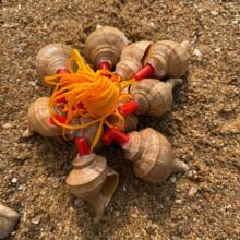 �t�������ں���ؐ���t������ �Ҿ��b��ͶY�o��Ʒ ��cϲ�cƷ����