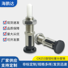 厂家批发不锈钢CN253旋钮柱塞分度销加长型塑料销弹簧定位销圆柱