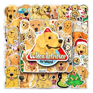 50����ë�T�f���Կ羳��ͨ���ﹷ��DIY�����֙C���������N����ˮ