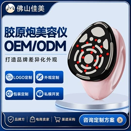 电子美容仪;注氧仪;美容导入仪