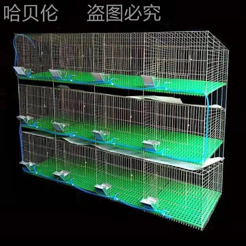 新型母兔免子兔粪笼荷兰猪笼子笼子养殖母大免清笼肉兔繁殖笼兔笼