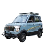 红旗款老头乐电动四轮代步汽车新能源家用小型女士成人电瓶车锂电