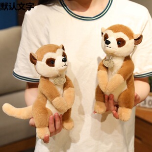 �羳�ɐۄ���С���ӹ���ë�q��ߺ�����ż��ͯ���᲼����Ů������