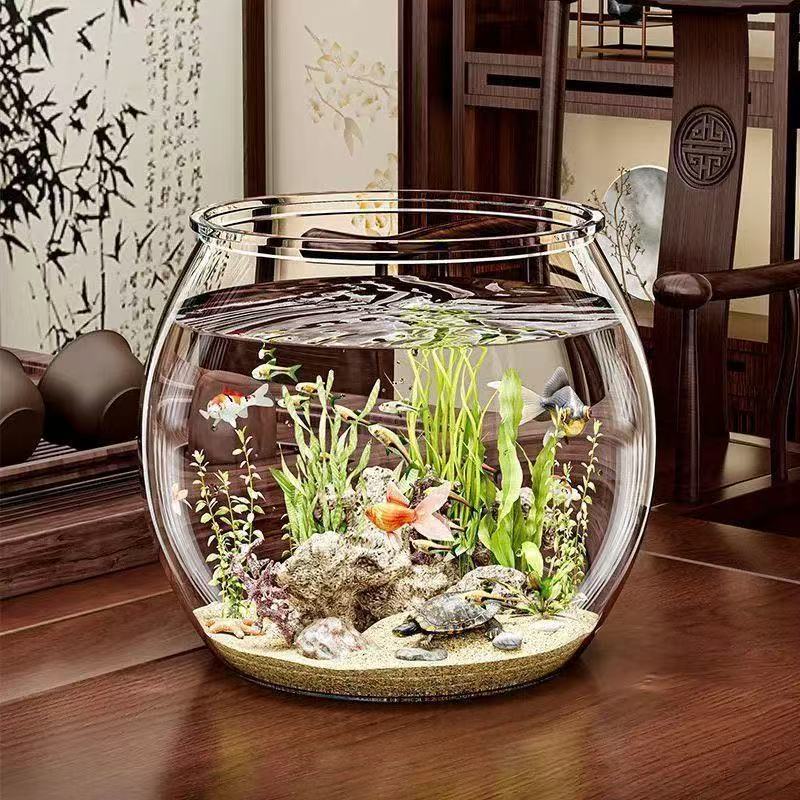 540ed23b-fa0e-4395-b9dc-d449b4ffed51.jpe