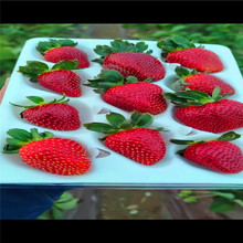 �������ݮ�� �ڸ����� �����ڲ�ݮ�N�� ��ϵ�l�_�o���x