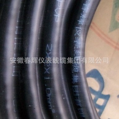 电子计算机用屏蔽电缆DJYPVP 2*2*1.0