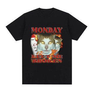 2026�羳�W�a����T��֧�ց�Dһ��DIY,Funny Monday Left Me