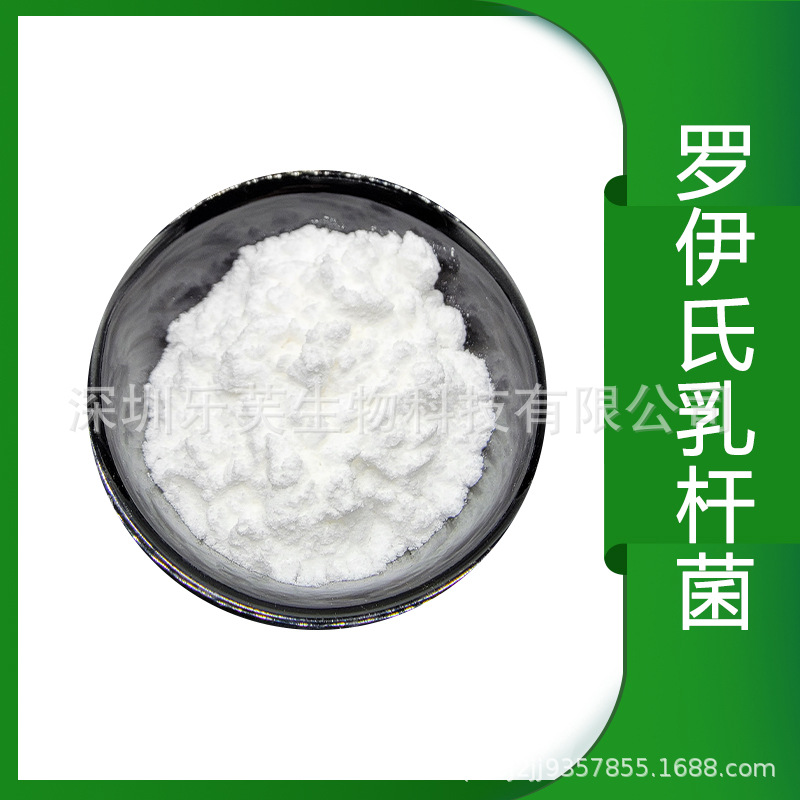 罗伊氏乳杆菌冻干型乳酸菌粉复合益生菌固体饮料原料粉含50-100亿