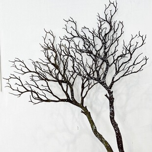 ɺ��֦�ݘ�֦�٘����Ϙ��c·���ɘ�֦�[���Ĕz���߻�c�b�