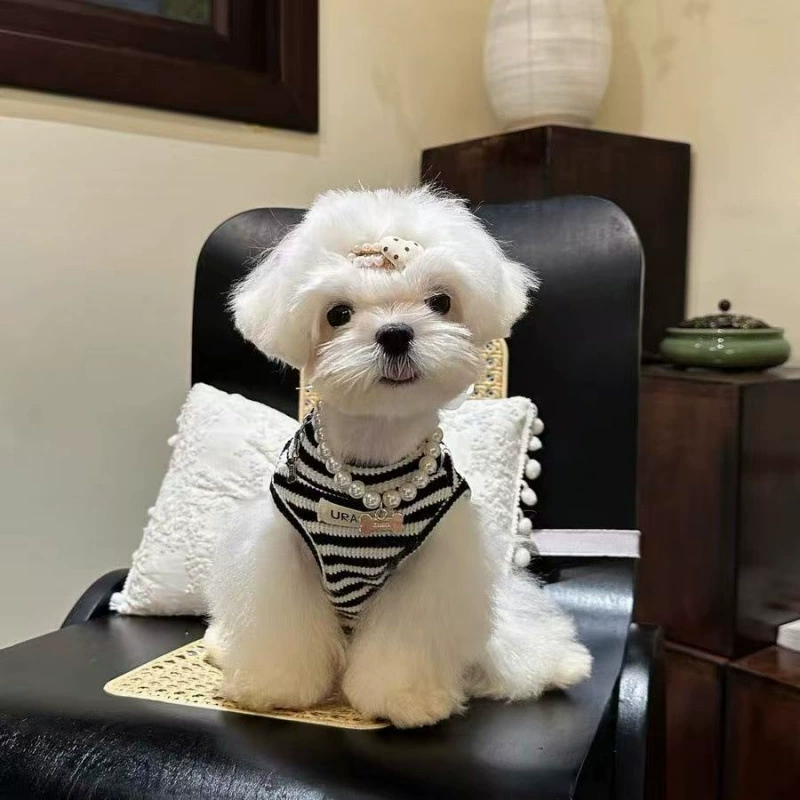 Маленькая одежда для щенков летом тонкий анти-выпадения волос дышащий жилет в полоску маленький щенок Тедди Боммермарцис