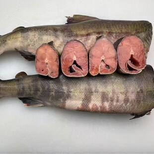 ���_˹���R���~������l���rȥ�^ȥ���K��Ҏ��Ηl�b �ɗl�b�F؛