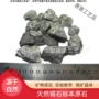 湖南教学天然实验标本