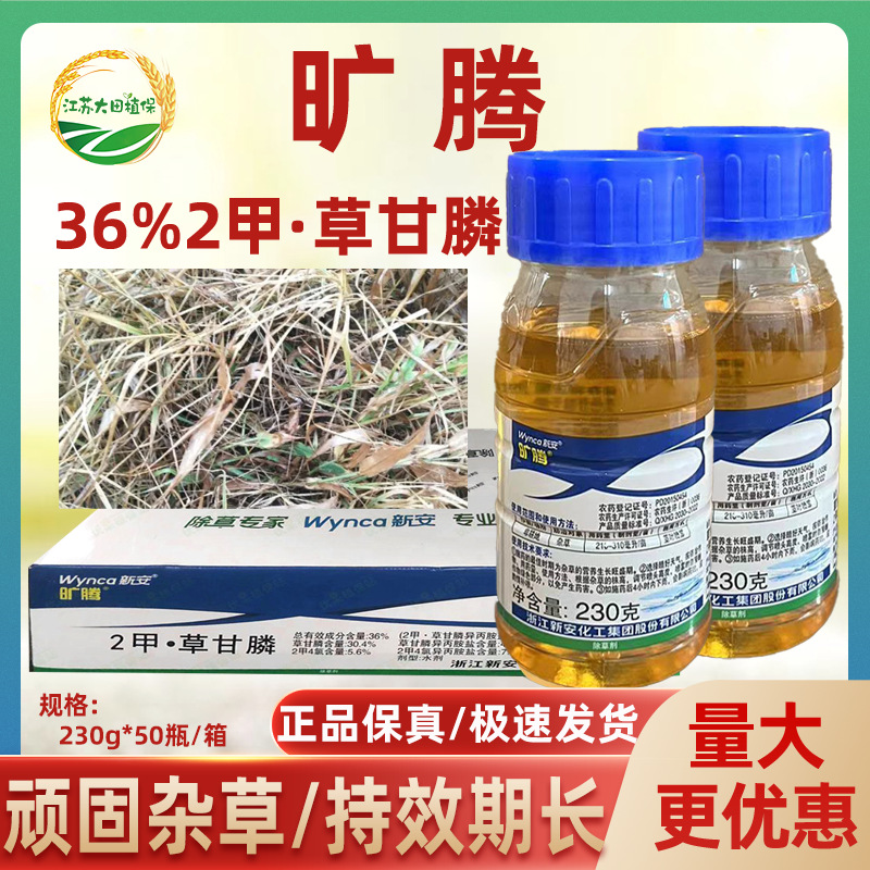 1688江天旷腾图一