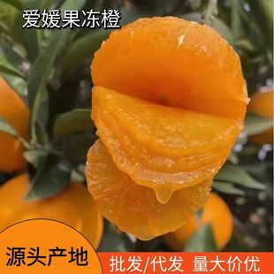 �������l���¹����ȑ���ˮ���ք�������������l���l������ﶬ��