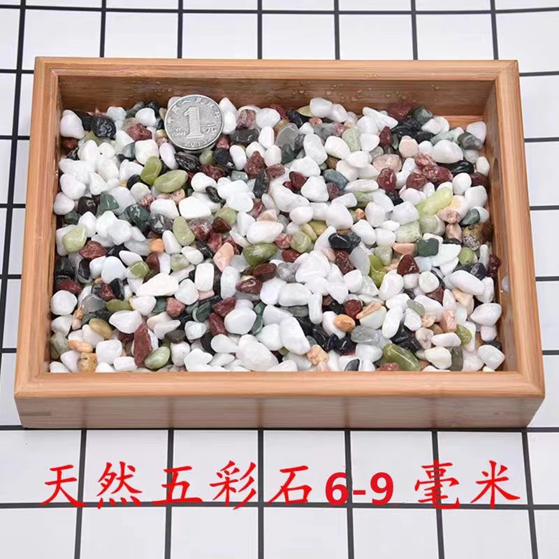 微信图片_20231026120153