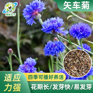 ʸ܇���������̨̫ꖻ�ʯ���^�p���տ�С�����N���û��ܶ༾�_��