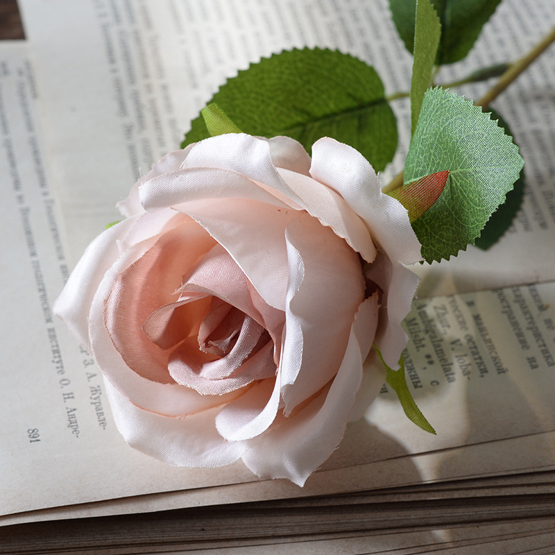 Light coffee (silk cloth)