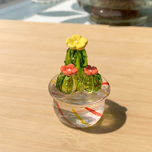 Creative plant cactus car car ornaments transparent resin crafts TV computer decorative small ornaments