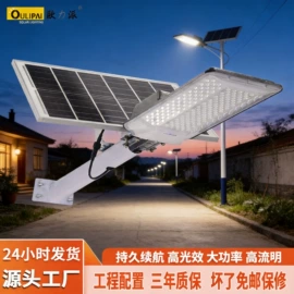 太阳能灯;庭院灯;路灯