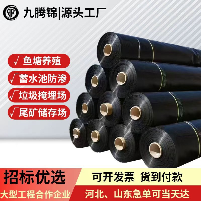 蓄水池防渗膜沼气池尾矿库垃圾填埋场工程防水HDPE土工膜鱼塘衬垫