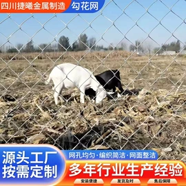 护栏网;铁丝网;其他金属网