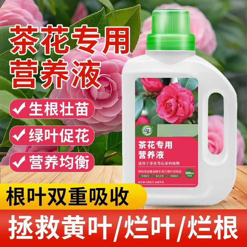 Камелия специальный питательный раствор камелия удобрение специальный удобрение