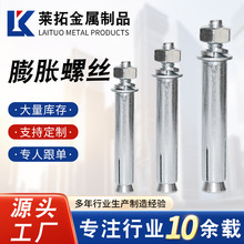 厂家供应 国标膨胀螺栓M8M10M12M14M16 规格齐全 膨胀螺丝螺栓