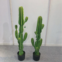 ���W���ͷ��������ƴ���������ɳĮϵֲ����҃���ҾӔ[���b�