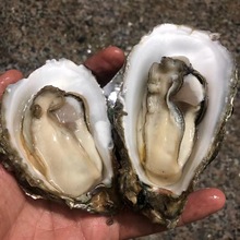 ɽ�|��ɽ���rĵϠ�ش�Ϡ�ӏV�|���rˮ�a10���r�����һ�����