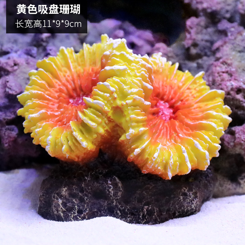 珊瑚1780