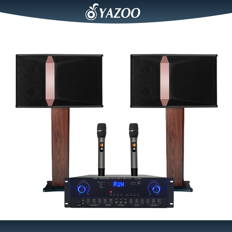 Altavoz + amplificador