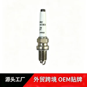 Suitable for Zeekr 9X8X engine spark plugs, range extender spark plugs, and spark plug nozzles