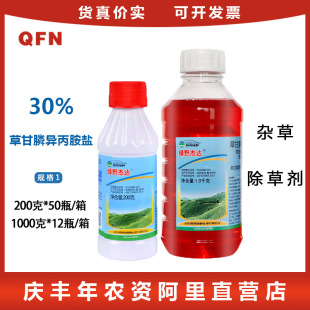 �GҰ���_ 41%�ݸ�좮������} �����Գ��݄��ݸ��� ���݄� 200g