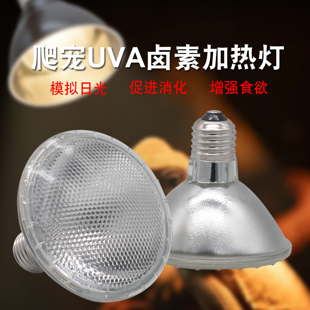 爬宠UVA加热灯卤素灯乌龟晒背灯日灯蜥蜴陆龟防爆保温太阳灯聚光