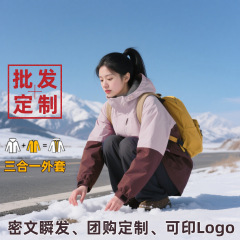 工厂定制秋冬三合一外套男女新款可拆卸冲锋衣加绒户外登山服夹克