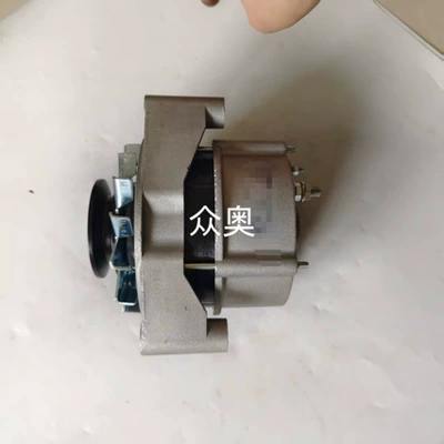 Generatorlar hissələri (Dinamo və detalları) Td2.9 Generator 01184022